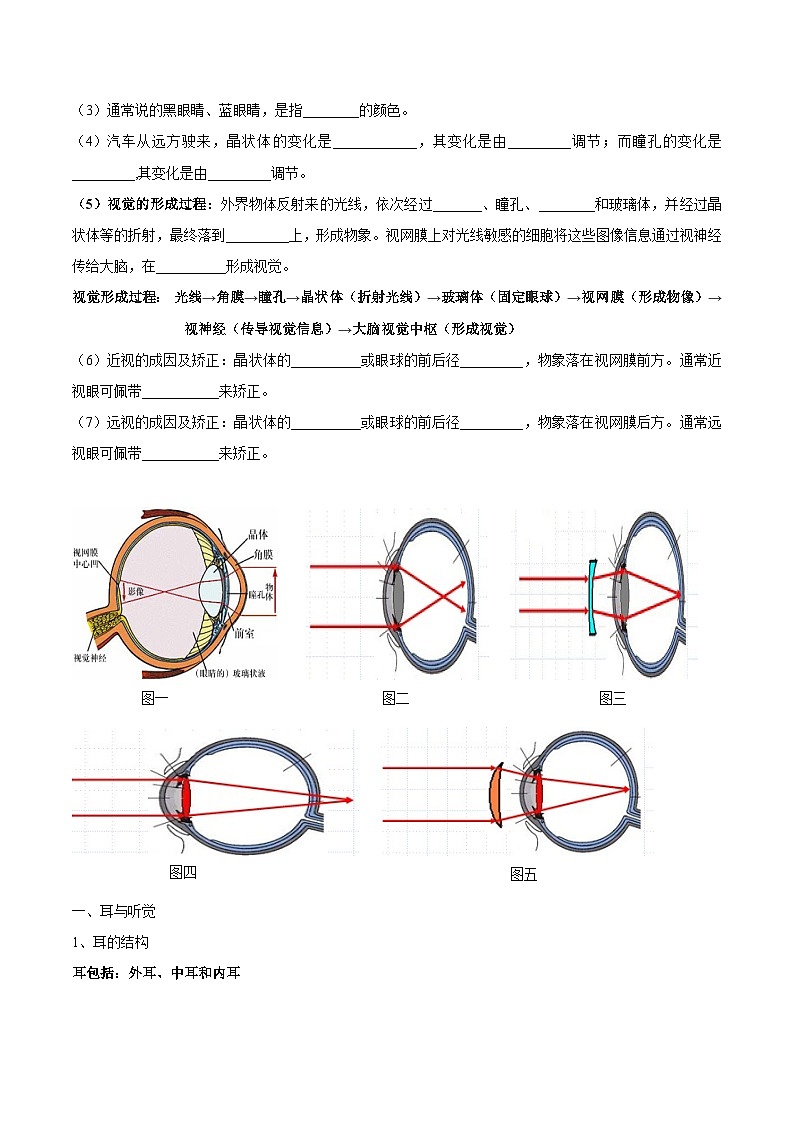 专题七 人体生命活动的调节-2023年中考生物核心考点必背合集第2页