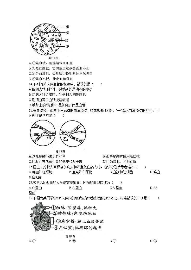 广东省中山市西湾外国语学校2022-2023学年七年级下学期5月月考生物试题(无答案)03