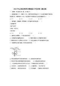 2023年山东省菏泽市鄄城县中考生物三模试卷（含解析）