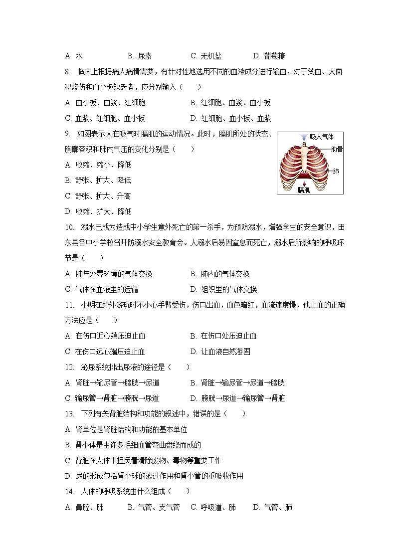 2022-2023学年广西防城港市上思县七年级（下）期中生物试卷（含解析）第2页