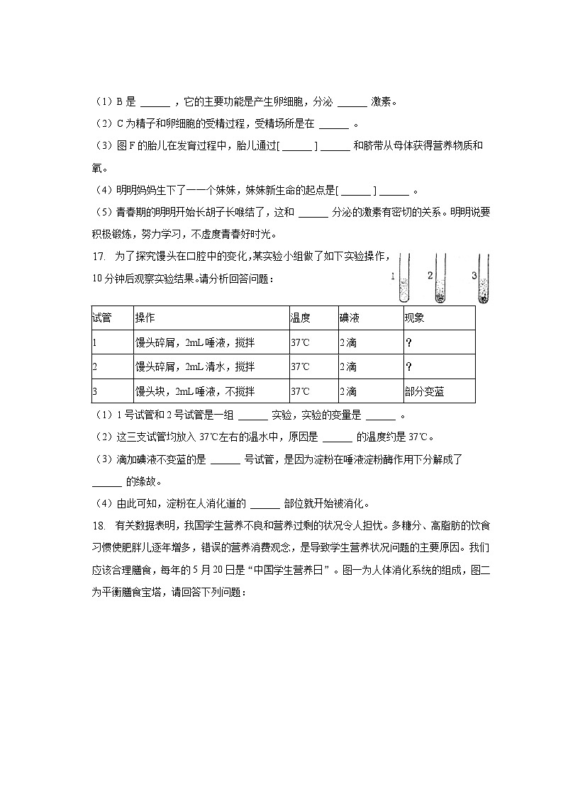 2022-2023学年广西玉林市玉州区七年级（下）期中生物试卷（含解析）03