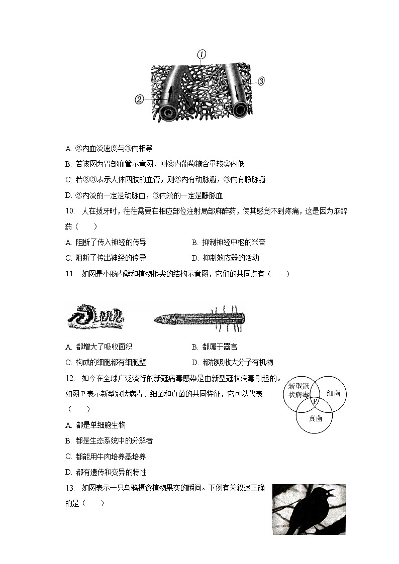 2023年河南省南阳市唐河县中考生物三模试卷（含解析）第3页
