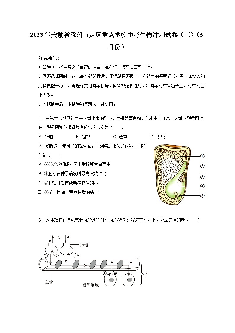 2023年安徽省滁州市定远重点学校中考生物冲刺试卷（三）（5月份）（含解析）01