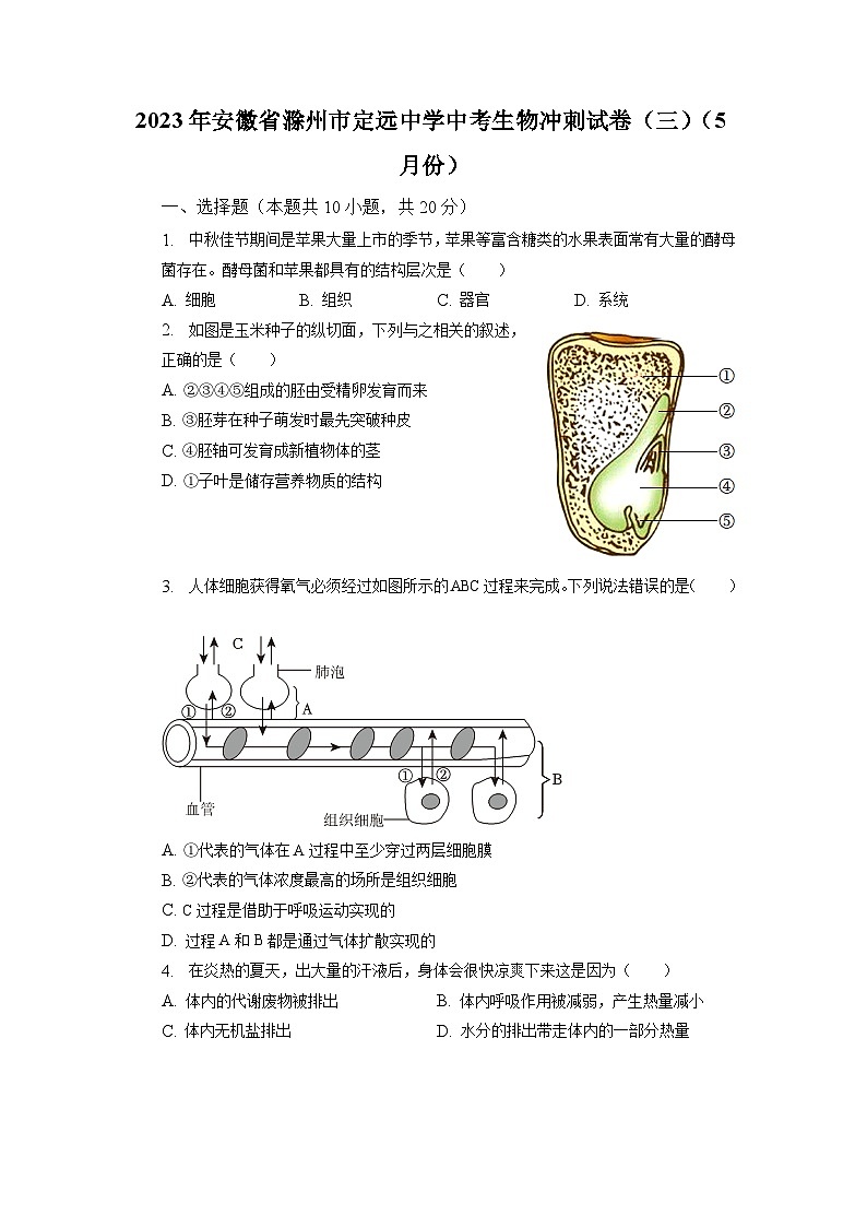 2023年安徽省滁州市定远中学中考生物冲刺试卷（三）（5月份）+01