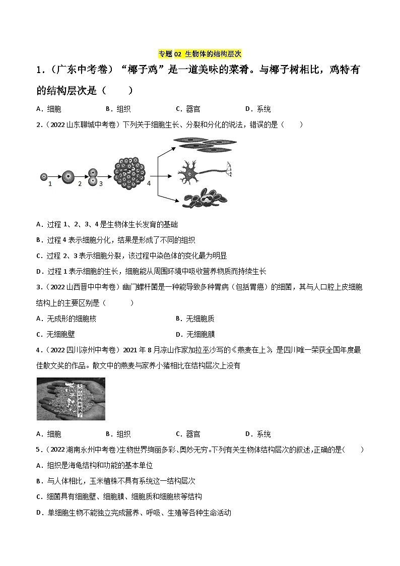 专题02 生物体的结构层次-中考生物真题分项汇编（全国通用）（第2期）01