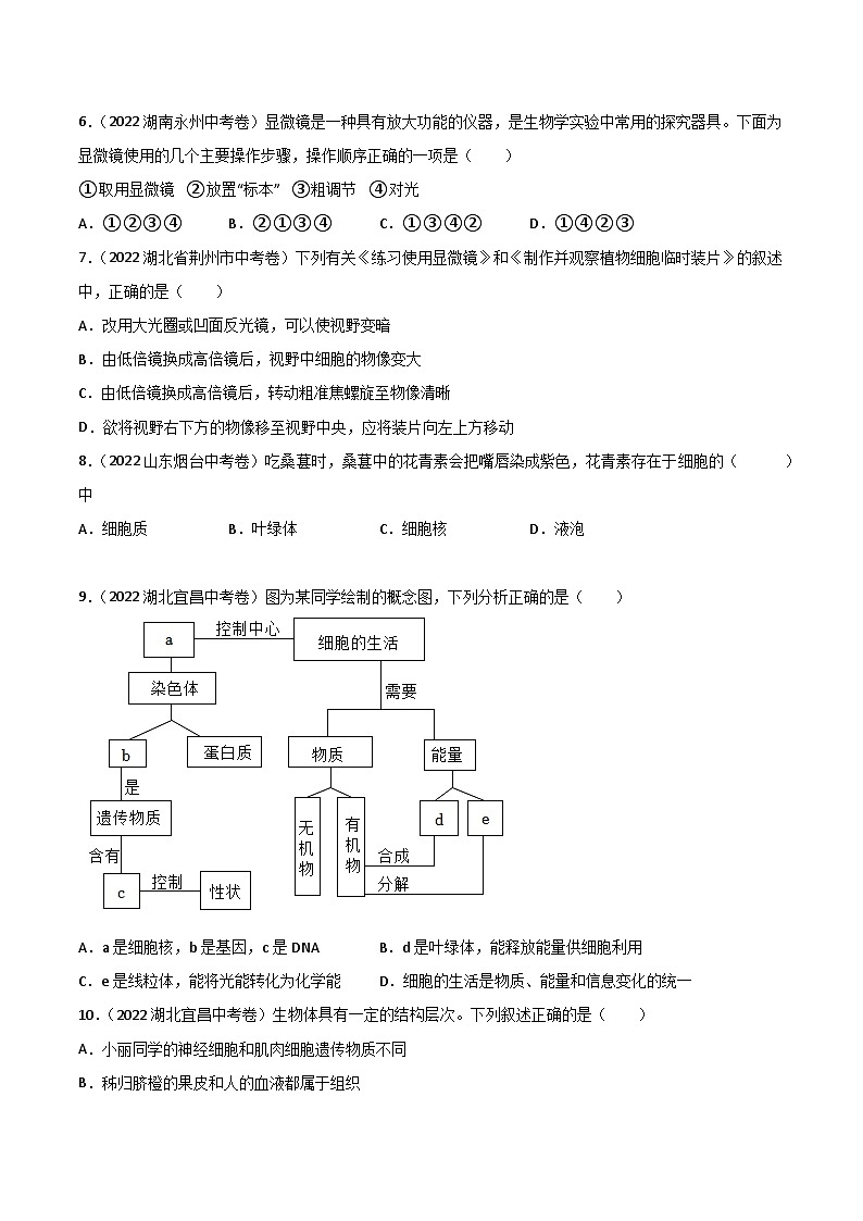专题02 生物体的结构层次-中考生物真题分项汇编（全国通用）（第2期）02