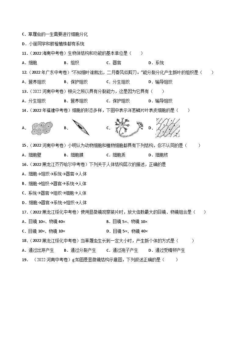 专题02 生物体的结构层次-中考生物真题分项汇编（全国通用）（第2期）03