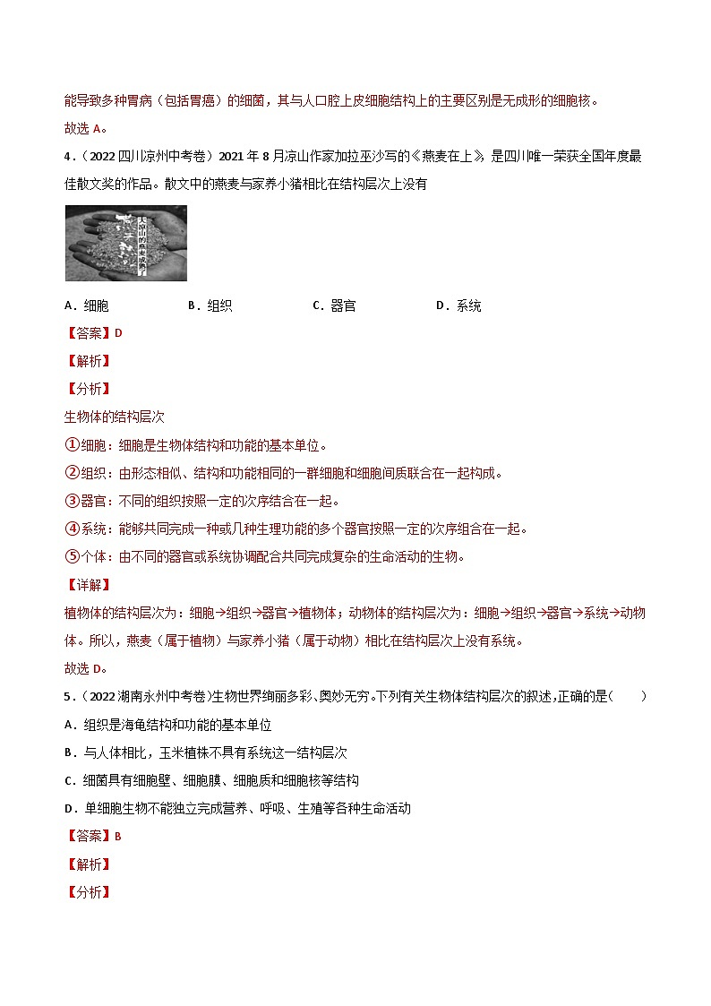 专题02 生物体的结构层次-中考生物真题分项汇编（全国通用）（第2期）03