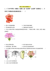 专题03 绿色开花植物的一生-中考生物真题分项汇编（全国通用）（第2期）