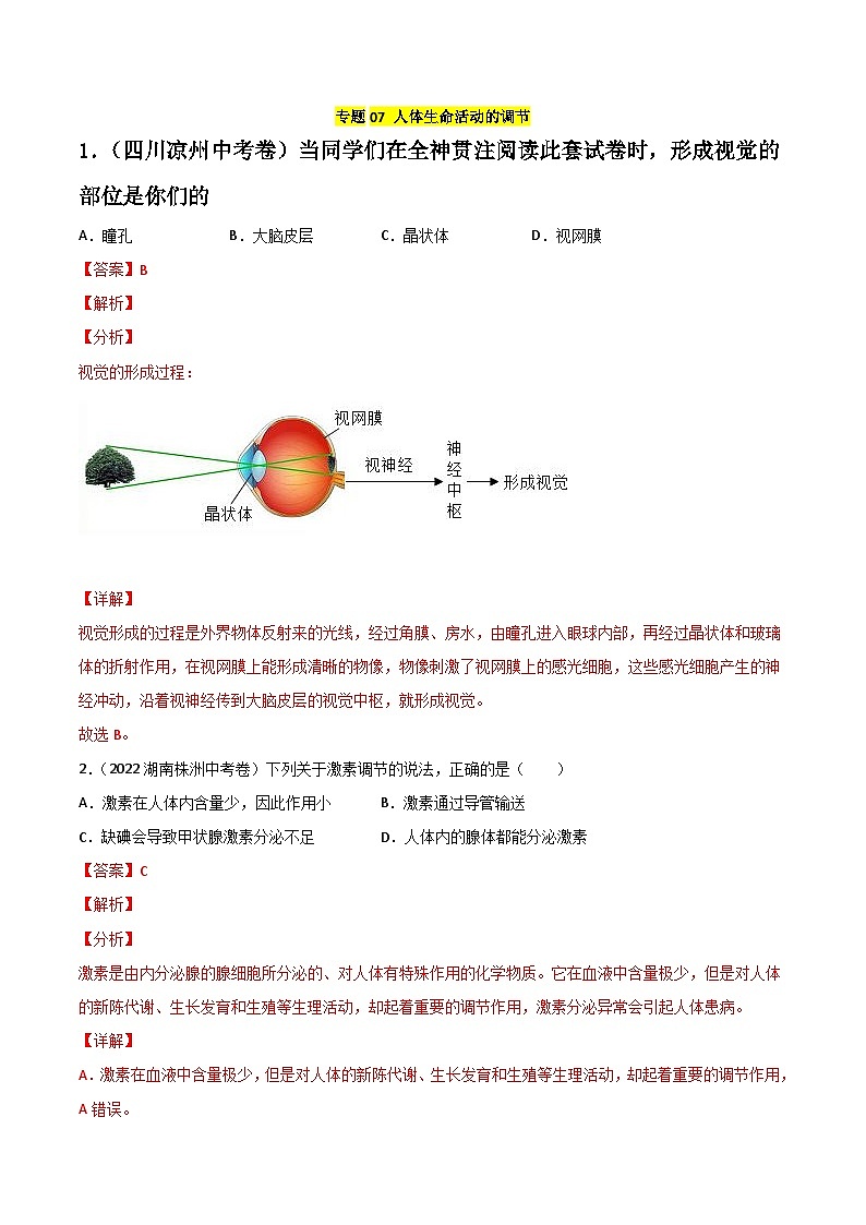 专题07 人体生命活动的调节-中考生物真题分项汇编（全国通用）（第2期）（01