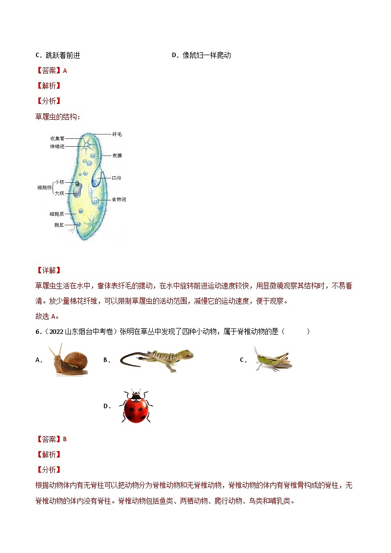 专题09 植物、动物、微生物类群-中考生物真题分项汇编（全国通用）（第2期）03