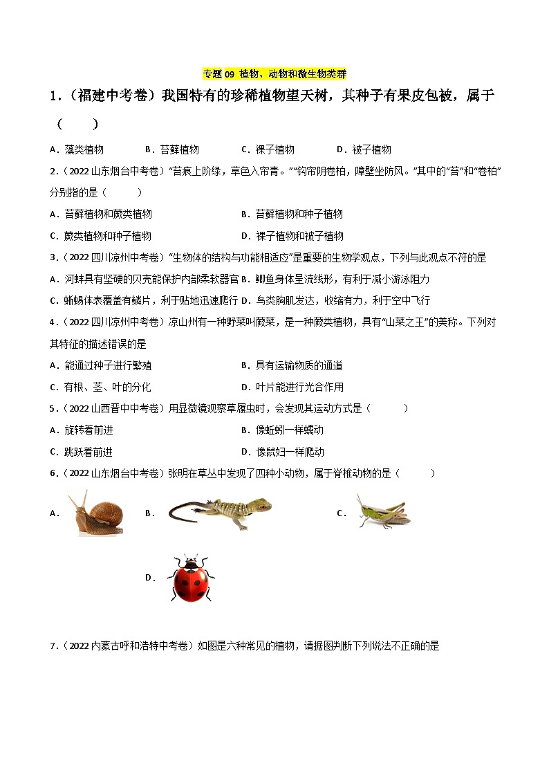 专题09 植物、动物、微生物类群-中考生物真题分项汇编（全国通用）（第2期）01