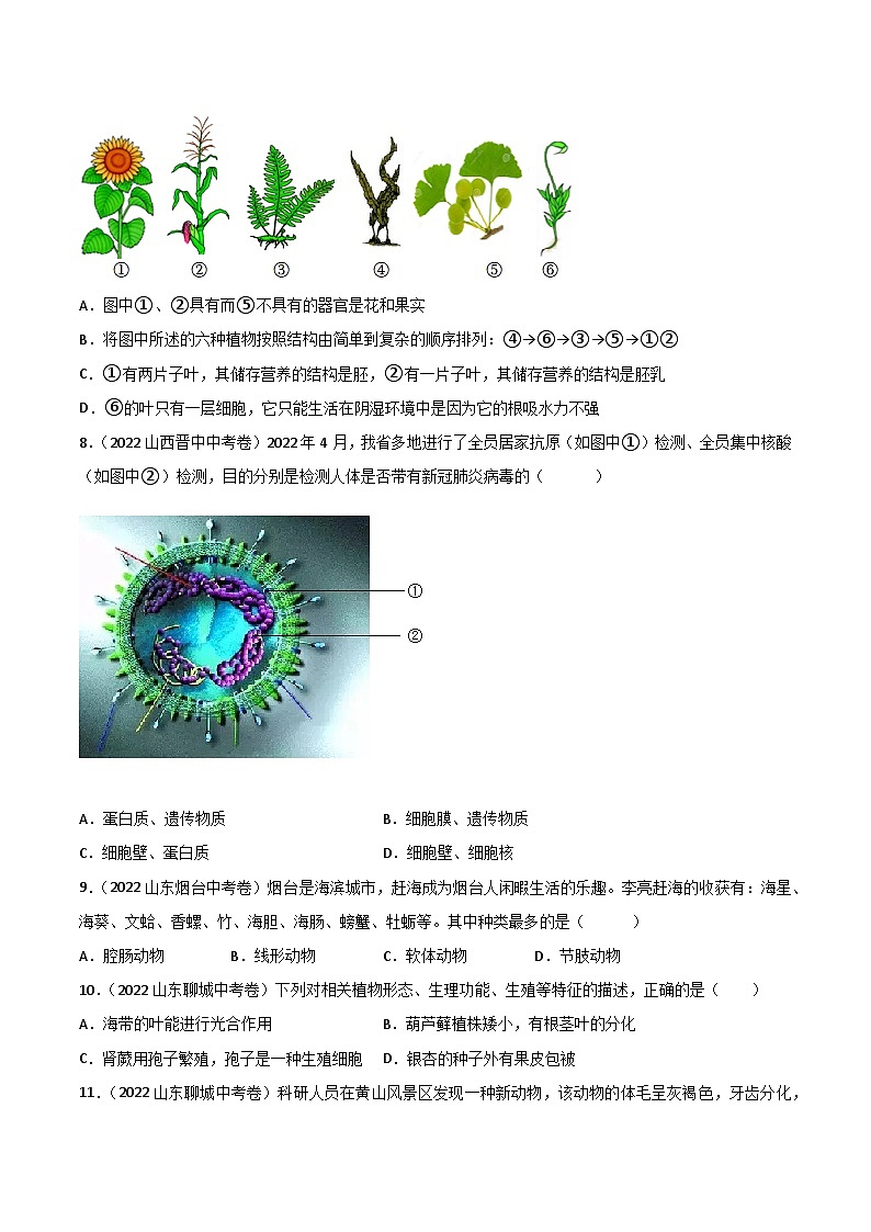 专题09 植物、动物、微生物类群-中考生物真题分项汇编（全国通用）（第2期）02