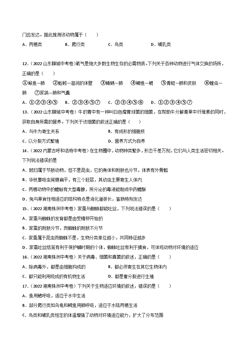 专题09 植物、动物、微生物类群-中考生物真题分项汇编（全国通用）（第2期）03