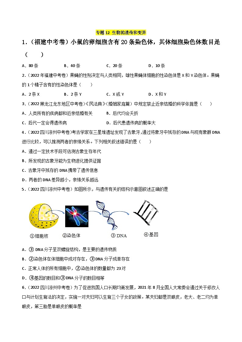 专题12 生物的遗传和变异-中考生物真题分项汇编（全国通用）（第2期）01
