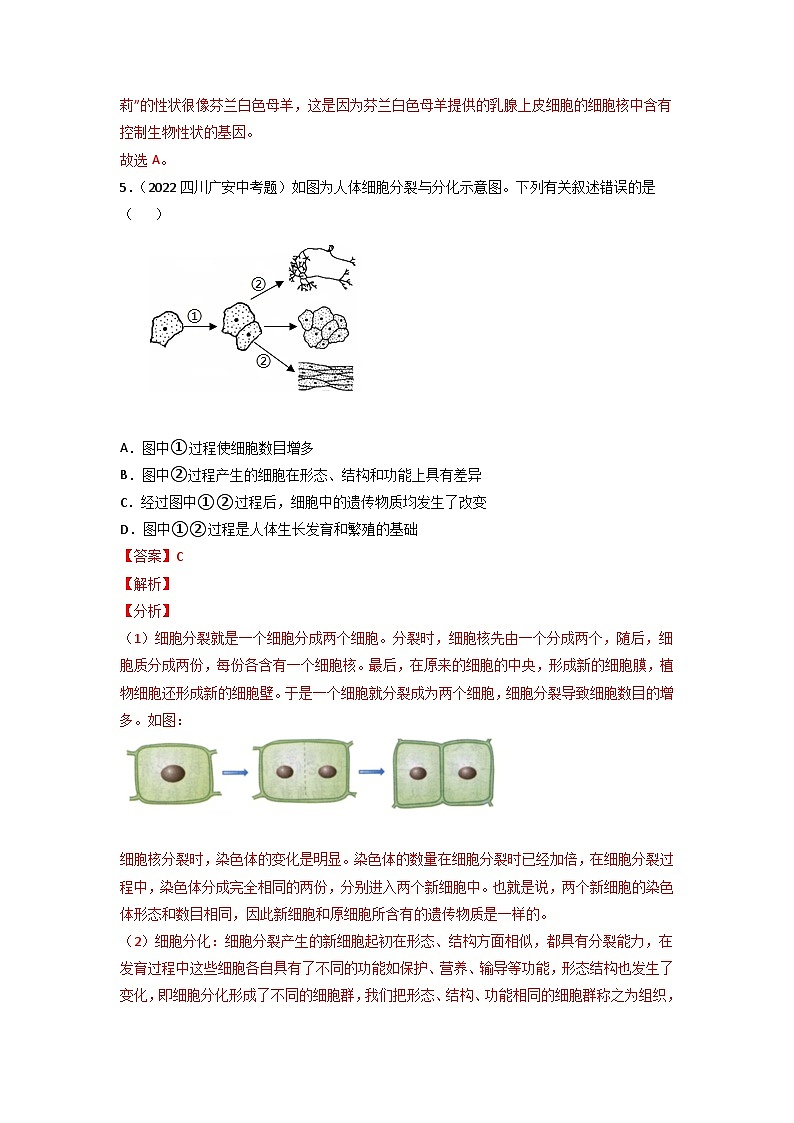 专题02 生物体的结构层次-中考生物真题分项汇编（全国通用）（第3期）（解析版）第3页