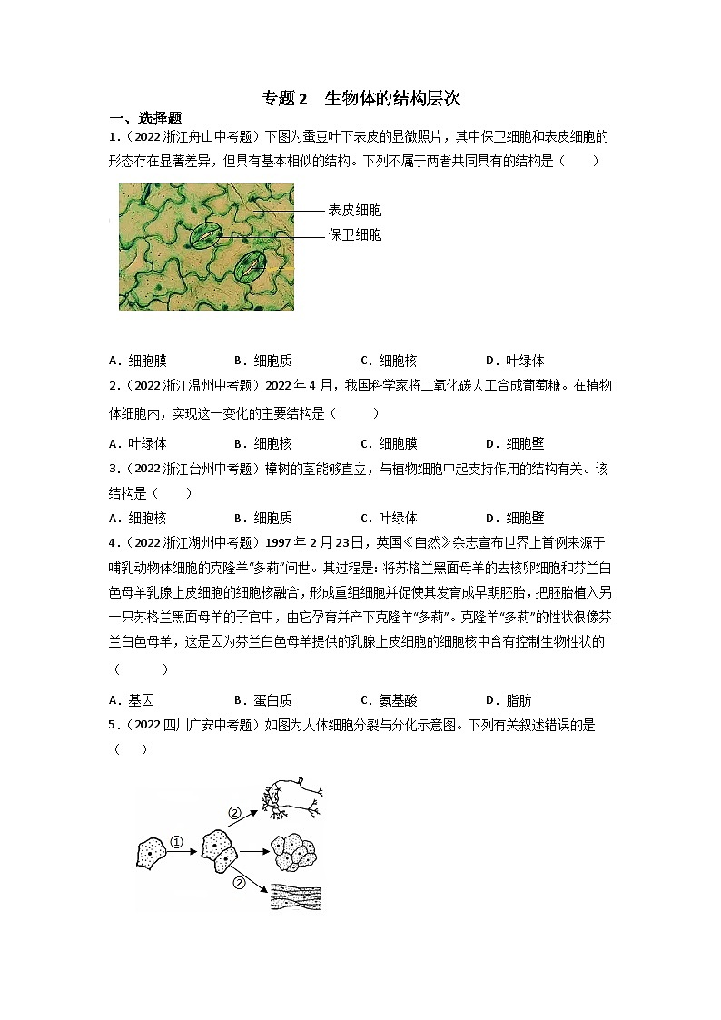 专题02 生物体的结构层次-中考生物真题分项汇编（全国通用）（第3期）（原卷版）第1页
