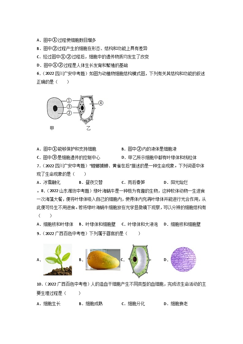 专题02 生物体的结构层次-中考生物真题分项汇编（全国通用）（第3期）（原卷版）第2页