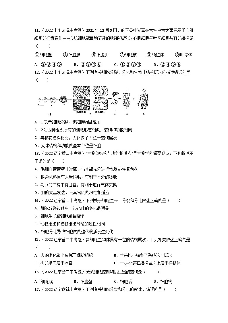 专题02 生物体的结构层次-中考生物真题分项汇编（全国通用）（第3期）（原卷版）第3页
