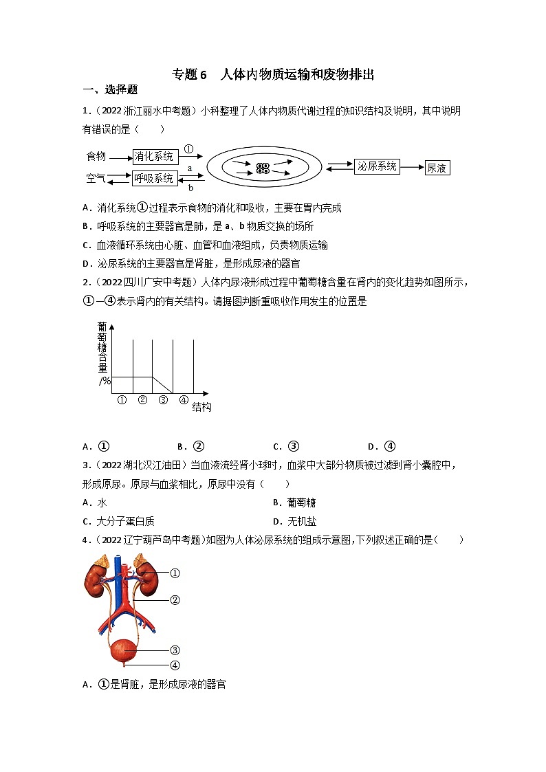专题06 人体内物质运输和废物排出-中考生物真题分项汇编（全国通用）（第3期）01
