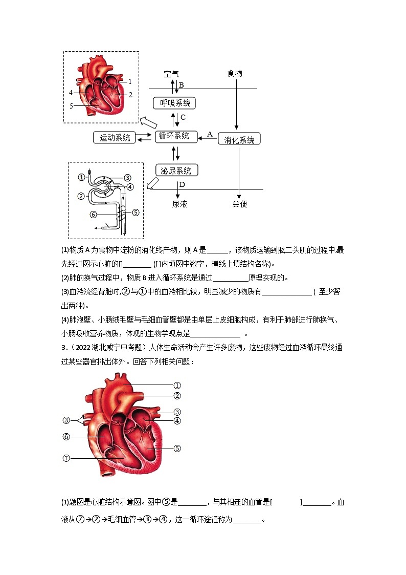 专题06 人体内物质运输和废物排出-中考生物真题分项汇编（全国通用）（第3期）03