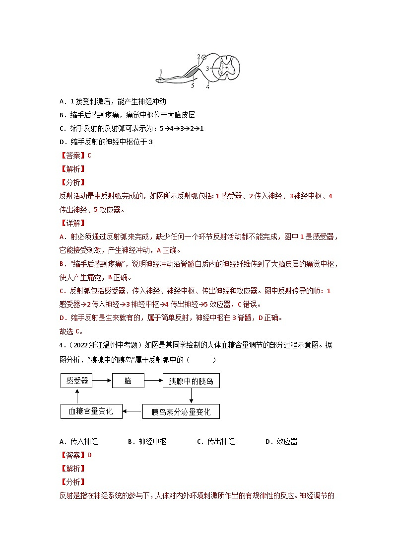 专题07 人体生命活动的调节-中考生物真题分项汇编（全国通用）（第3期）02