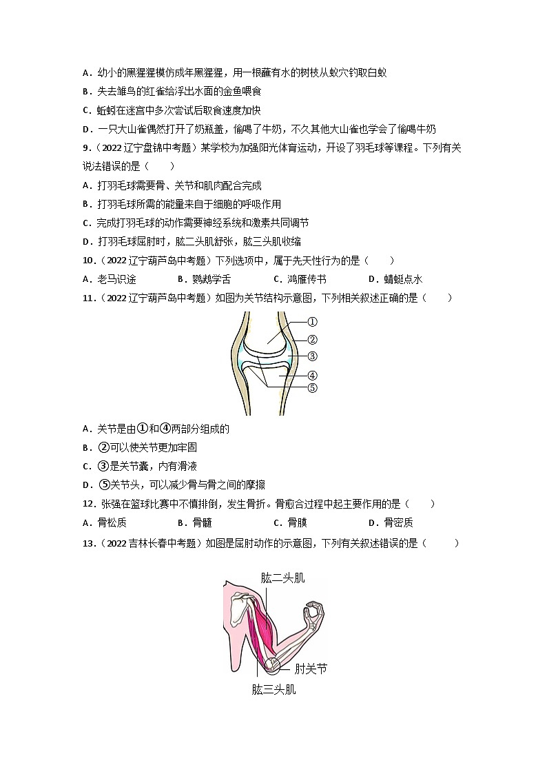 专题08 动物的运动和行为-中考生物真题分项汇编（全国通用）（第3期）02