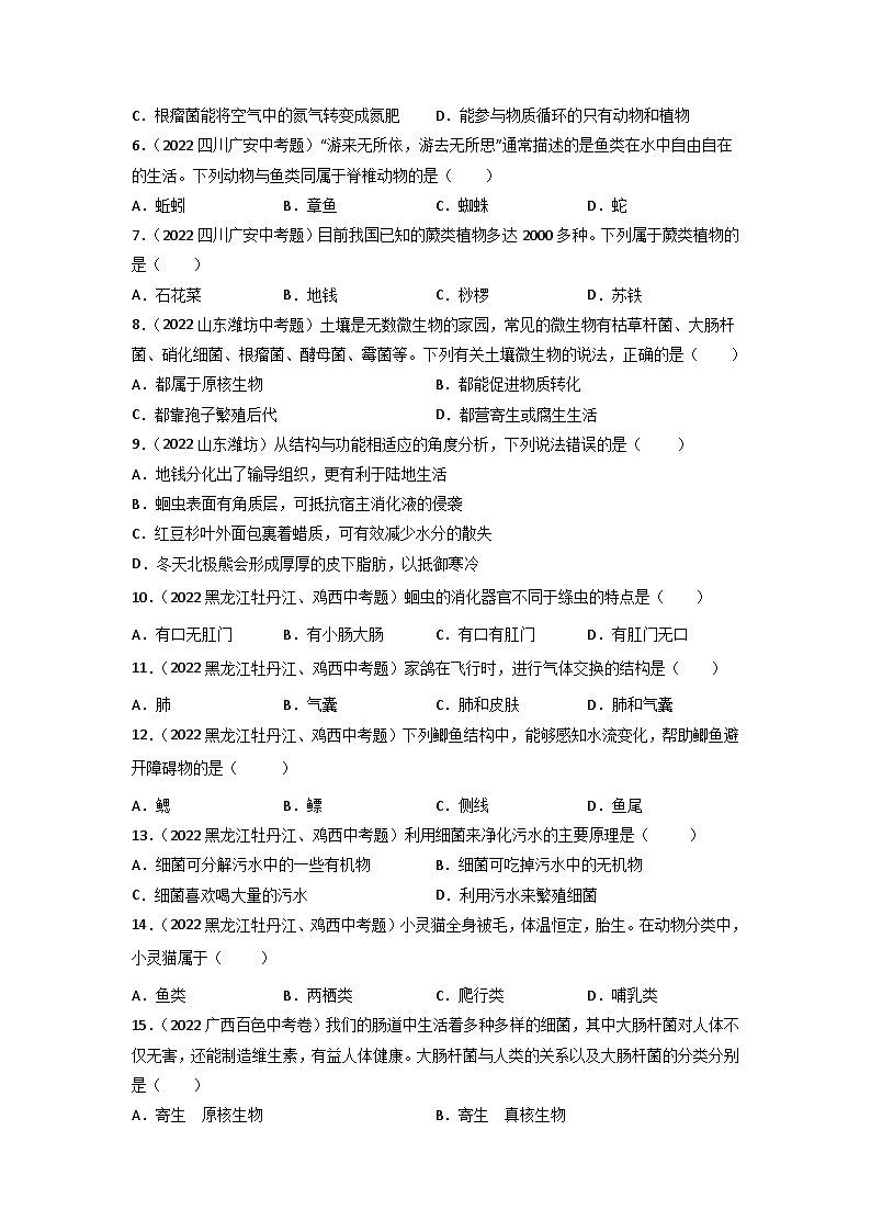 专题09 植物、动物和微生物类群-中考生物真题分项汇编（全国通用）（第3期）02