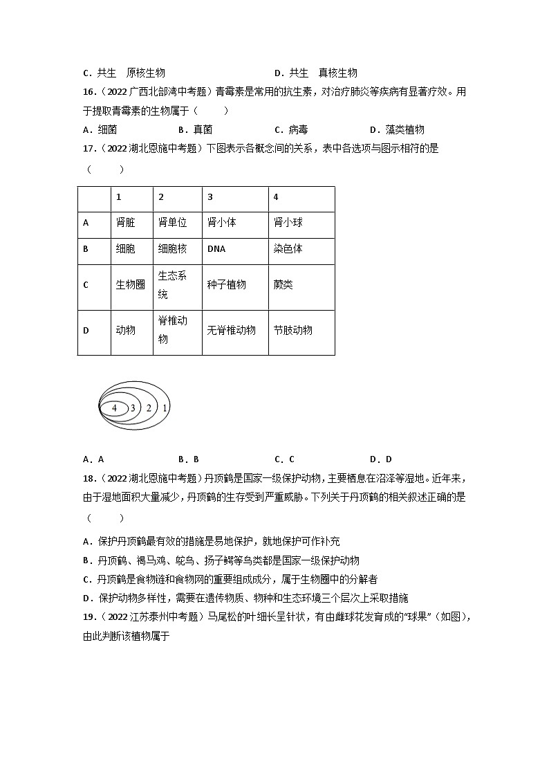 专题09 植物、动物和微生物类群-中考生物真题分项汇编（全国通用）（第3期）03