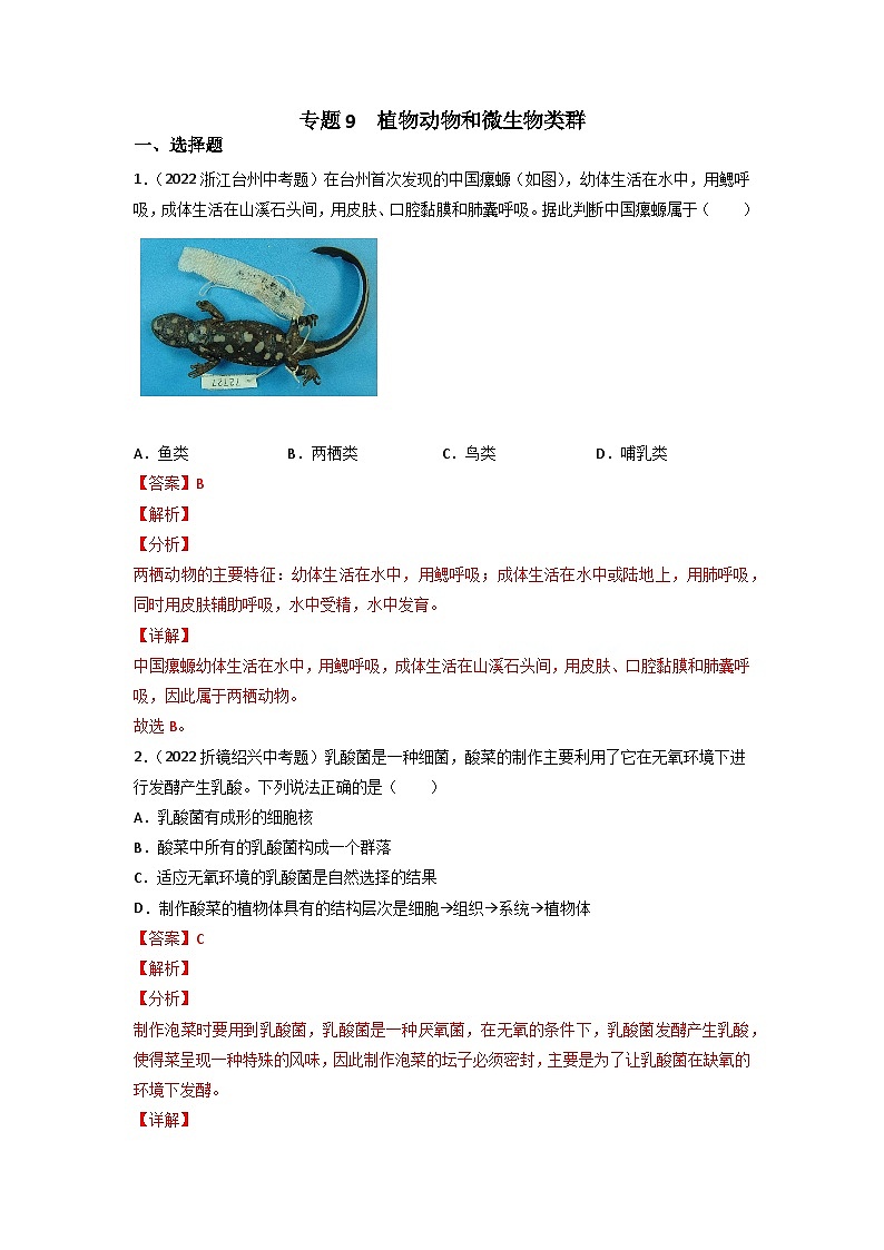 专题09 植物、动物和微生物类群-中考生物真题分项汇编（全国通用）（第3期）01