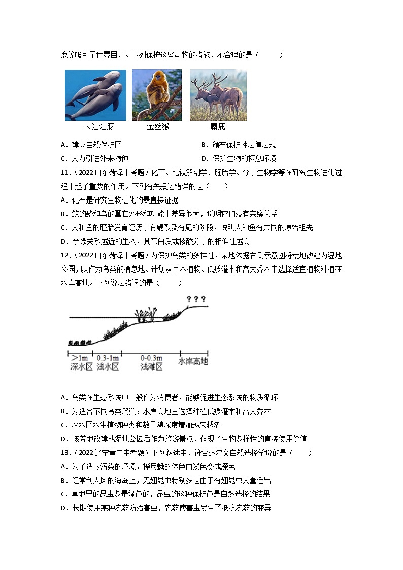 专题10 生物的分类、进化和多样性保护-中考生物真题分项汇编（全国通用）（第3期）（原卷版）第3页