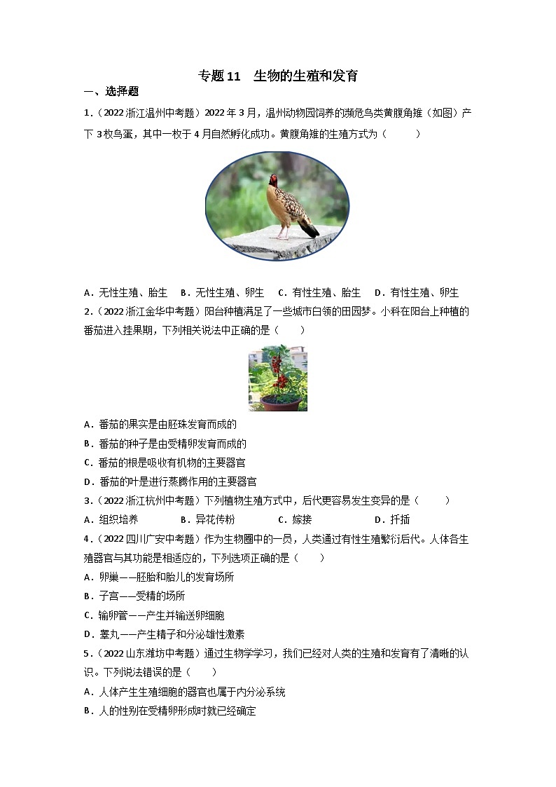 专题11 生物的生殖和发育-中考生物真题分项汇编（全国通用）（第3期）（原卷版）第1页