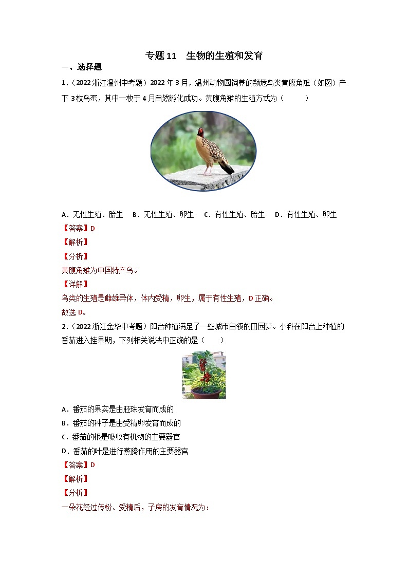 专题11 生物的生殖和发育-中考生物真题分项汇编（全国通用）（第3期）（解析版）第1页