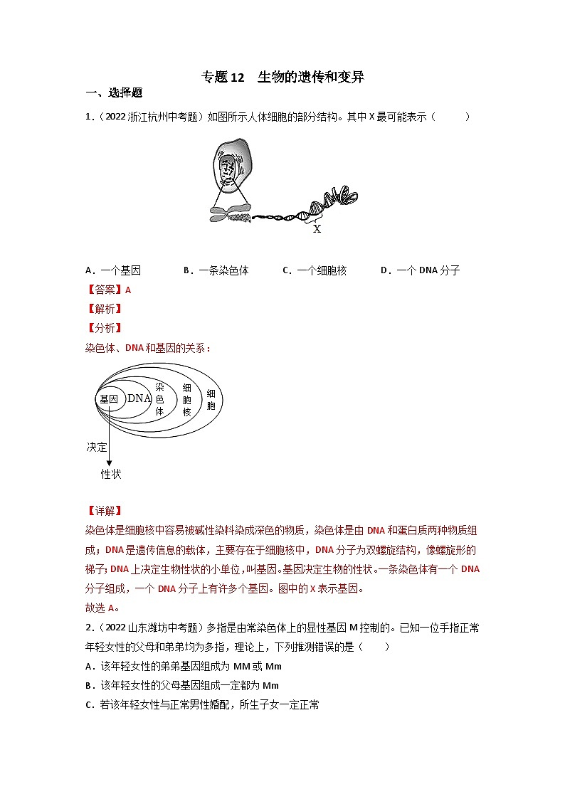 专题12 生物的遗传和变异-中考生物真题分项汇编（全国通用）（第3期）01