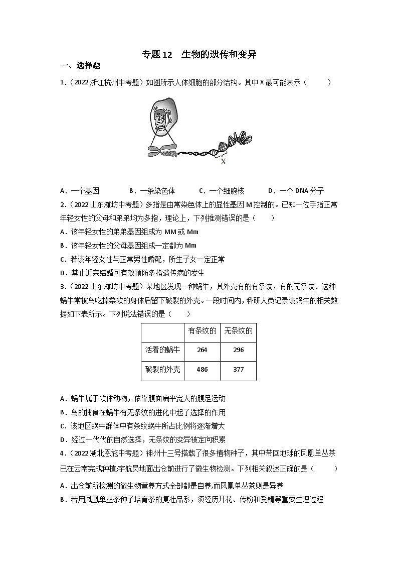 专题12 生物的遗传和变异-中考生物真题分项汇编（全国通用）（第3期）01
