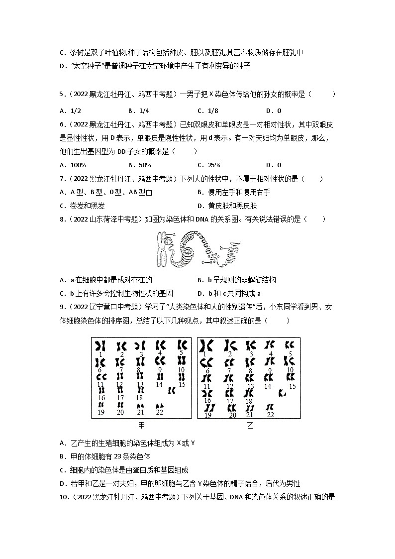 专题12 生物的遗传和变异-中考生物真题分项汇编（全国通用）（第3期）02