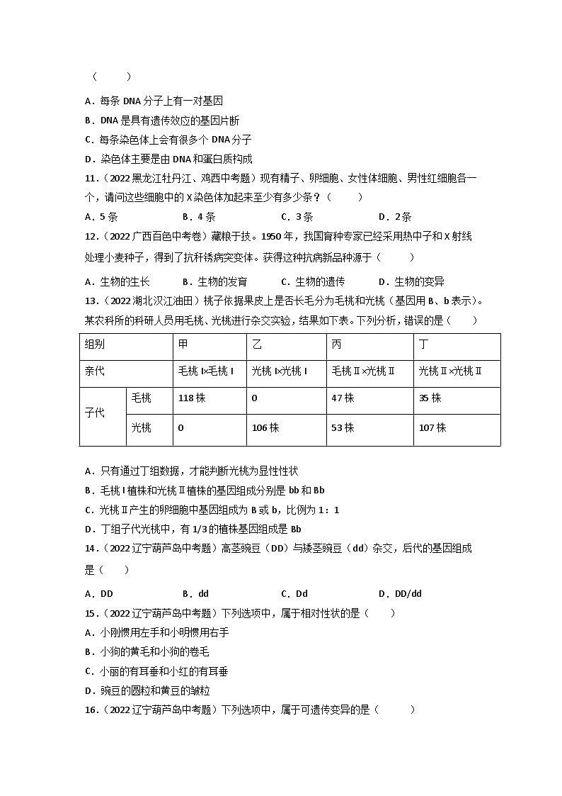 专题12 生物的遗传和变异-中考生物真题分项汇编（全国通用）（第3期）03