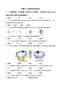 专题02 生物体的结构层次-中考生物真题分项汇编（全国通用）（第4期）