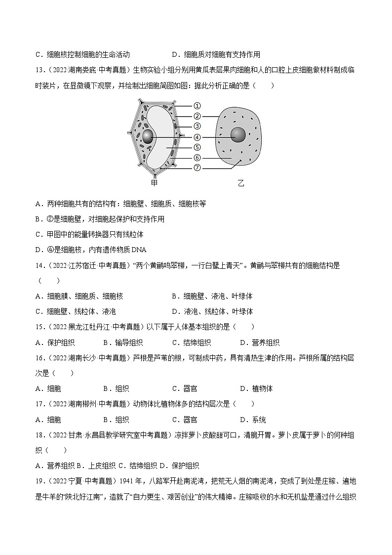 专题02 生物体的结构层次-中考生物真题分项汇编（全国通用）（第4期）（原卷版）第2页