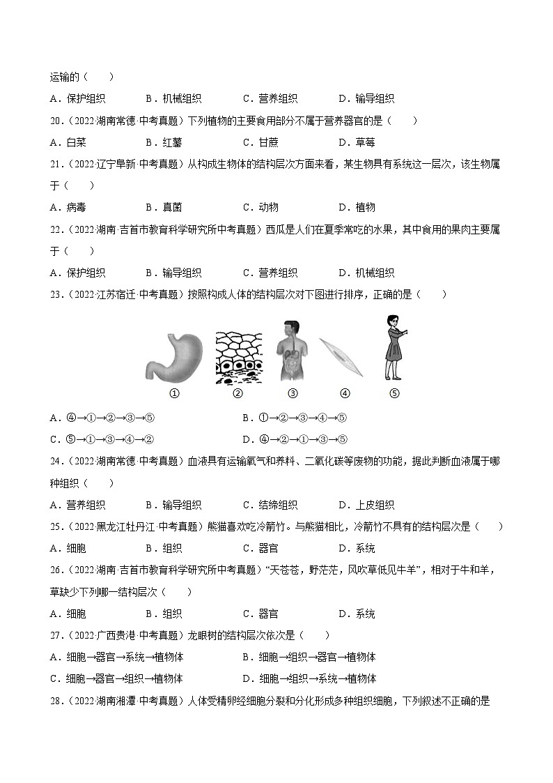 专题02 生物体的结构层次-中考生物真题分项汇编（全国通用）（第4期）（原卷版）第3页