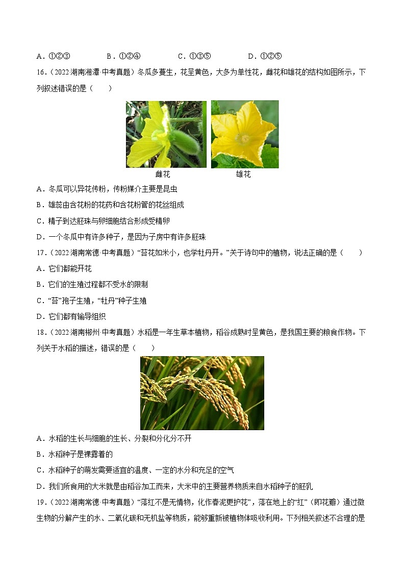 专题03 绿色开花植物的一生-中考生物真题分项汇编（全国通用）（第4期）03