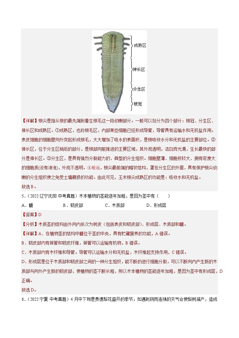 专题03 绿色开花植物的一生-中考生物真题分项汇编（全国通用）（第4期）02