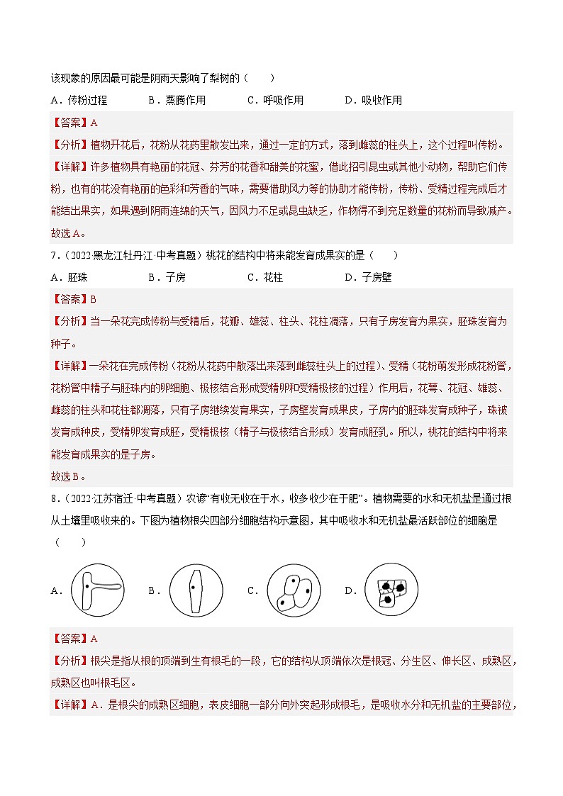 专题03 绿色开花植物的一生-中考生物真题分项汇编（全国通用）（第4期）03