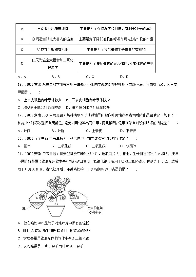 专题04 绿色植物的蒸腾作用、光合作用和呼吸作用-中考生物真题分项汇编（全国通用）（第4期）（原卷版）第3页