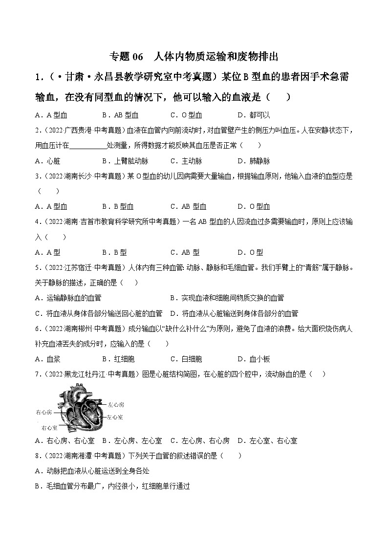 专题06 人体内物质运输和废物排出-中考生物真题分项汇编（全国通用）（第4期）（原卷版）第1页