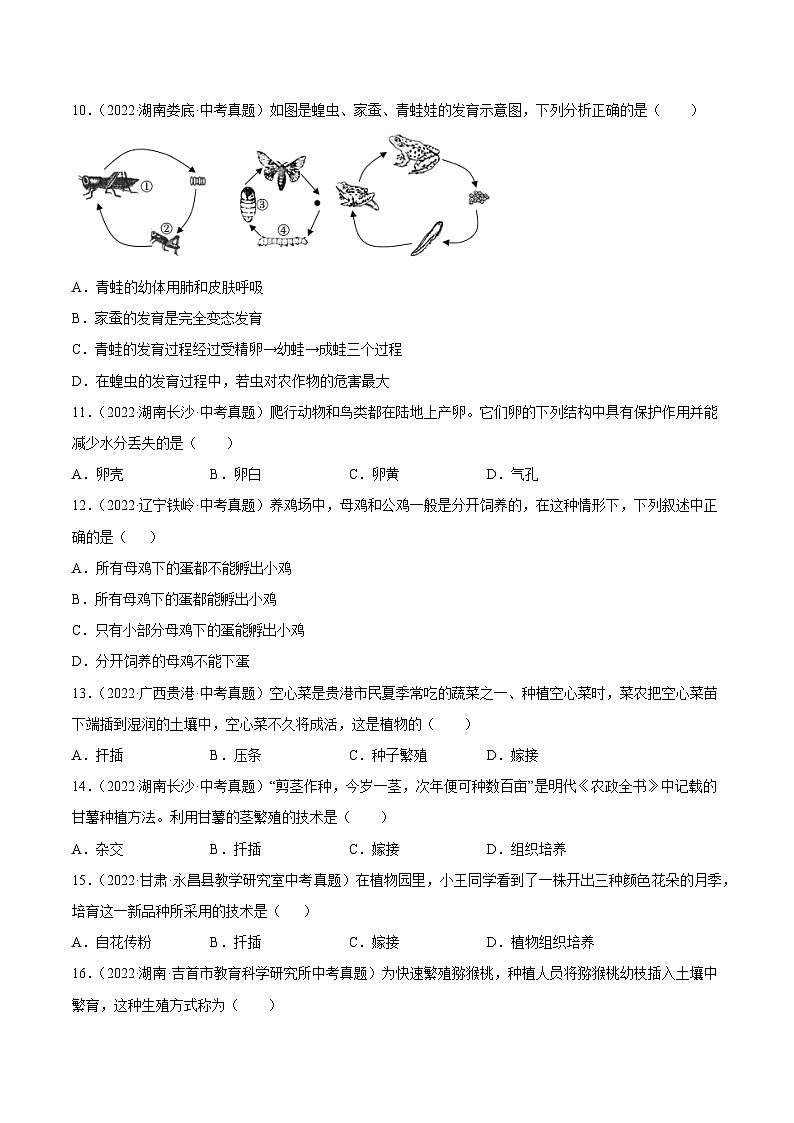 专题11 生物的生殖和发育-中考生物真题分项汇编（全国通用）（第4期）02