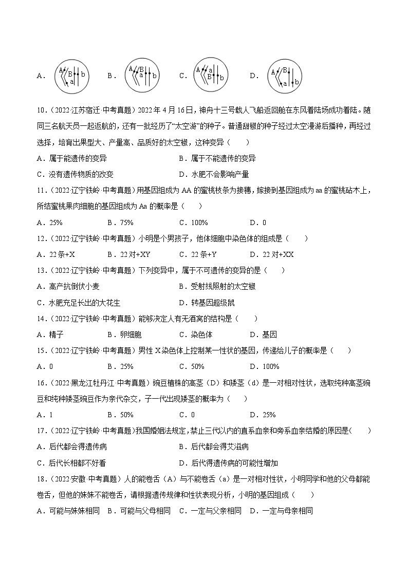 专题12 生物的遗传和变异-中考生物真题分项汇编（全国通用）（第4期）02