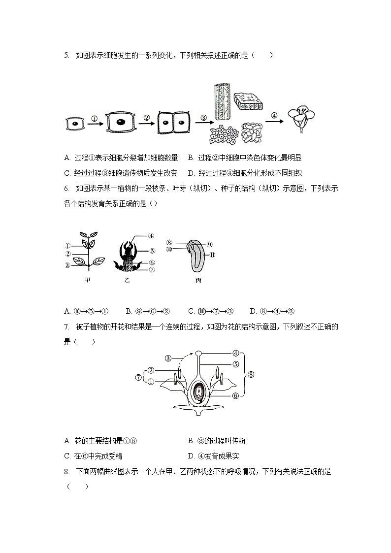 2023年山东省临沂市费县中考生物二模试卷（含解析）02