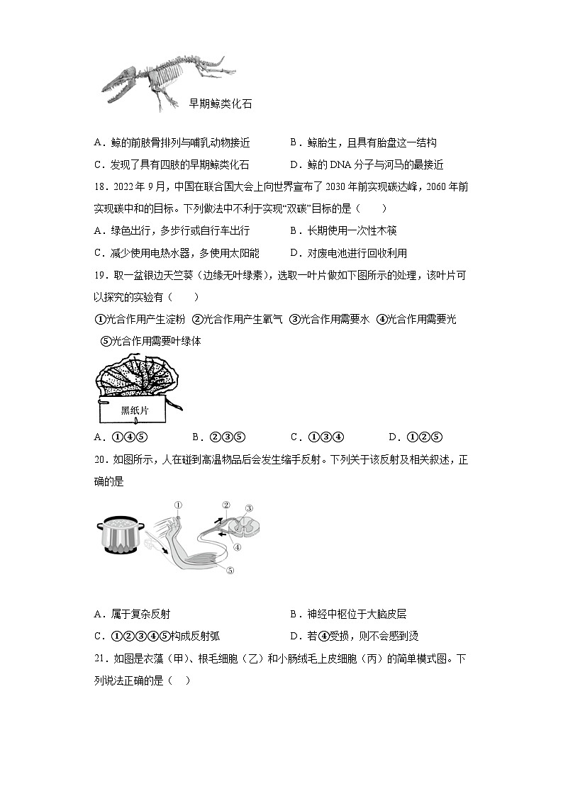 2023年福建省泉州市泉港区中考二模生物试题(含答案)03