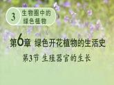 北师大版七年级上册生物教学课件 第6章 绿色开花植物的生活史 第3节 生殖器官的生长